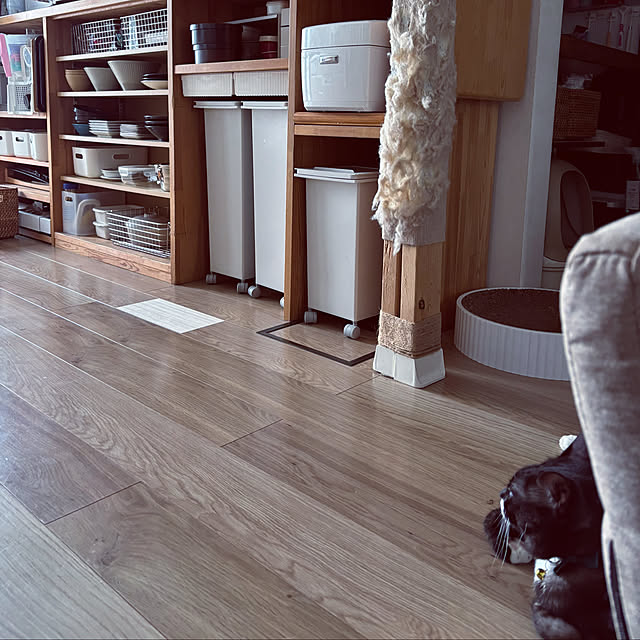masamasaさんの部屋