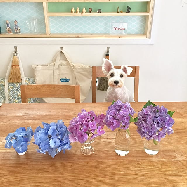 suzyさんの実例写真