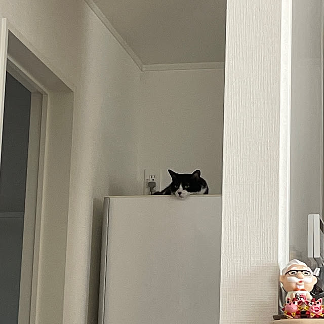 sioppiさんの実例写真