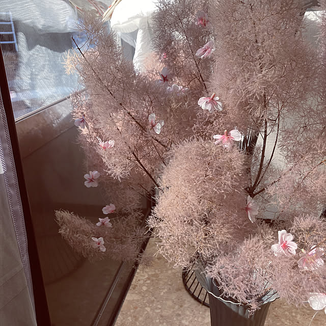 reeさんの実例写真