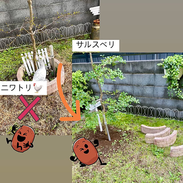 YuuKoさんの実例写真
