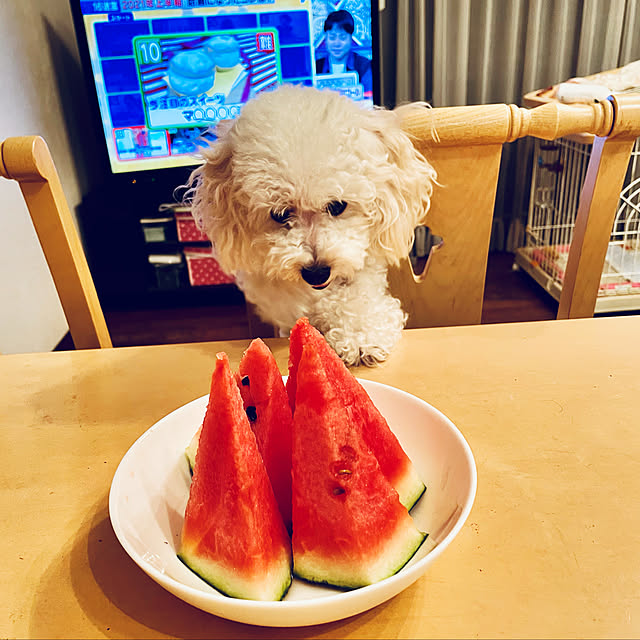 norikorinさんの実例写真