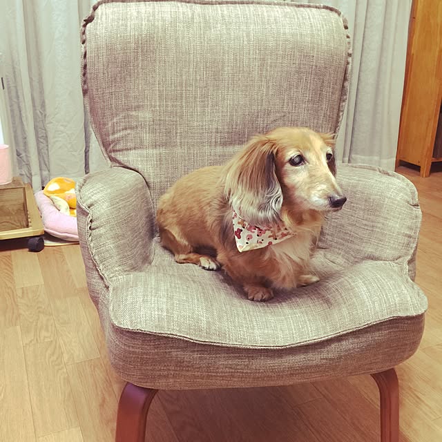 WildRoseさんの実例写真