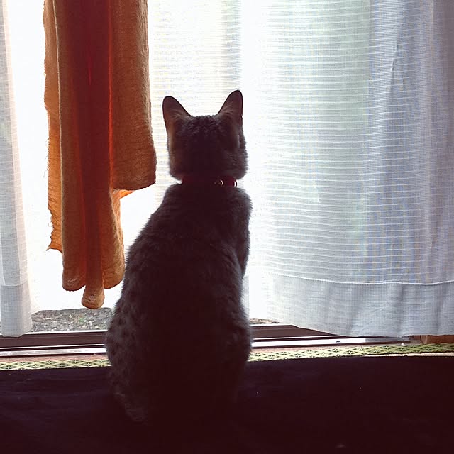 naochinさんの実例写真