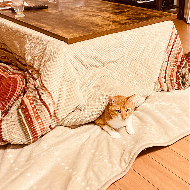 yonpurasuniさんの実例写真