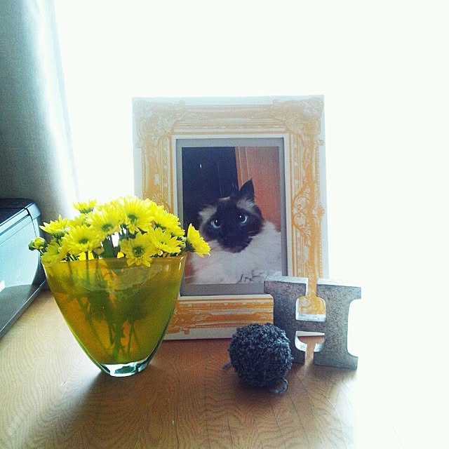 coroさんの実例写真