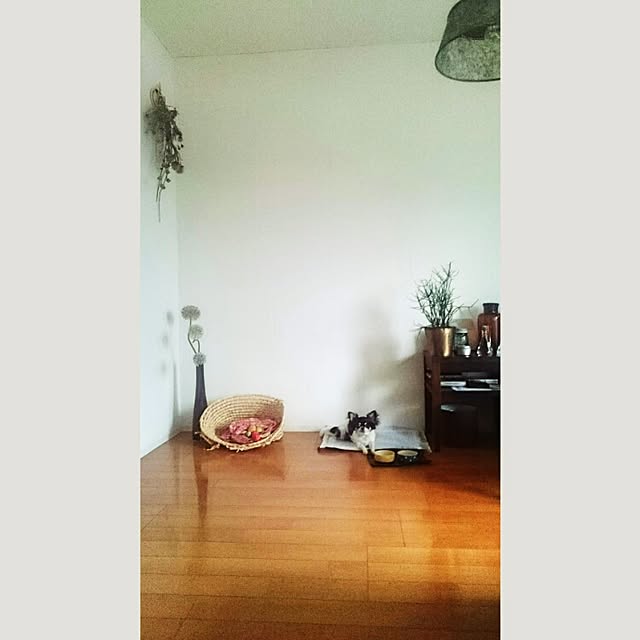 teさんの実例写真