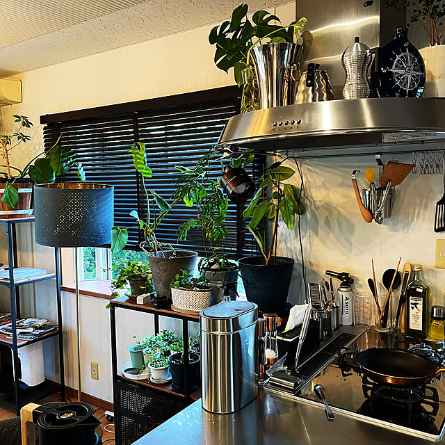観葉植物/IKEA/リビングのインテリア実例 - 2021-05-13 17:56:17