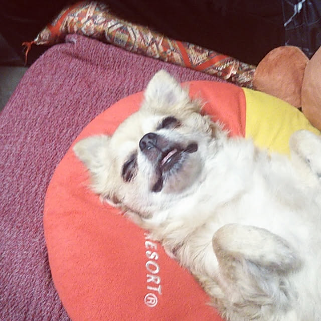 kiraさんの実例写真