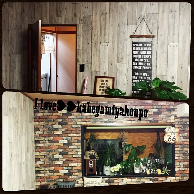 部屋全体/壁紙屋本舗/観葉植物/モンステラ/お部屋改造CHU❥❥...などのインテリア実例 - 2015-06-07 23:34:17