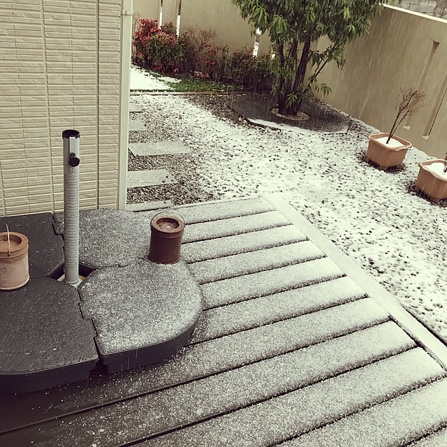 An50さんの実例写真