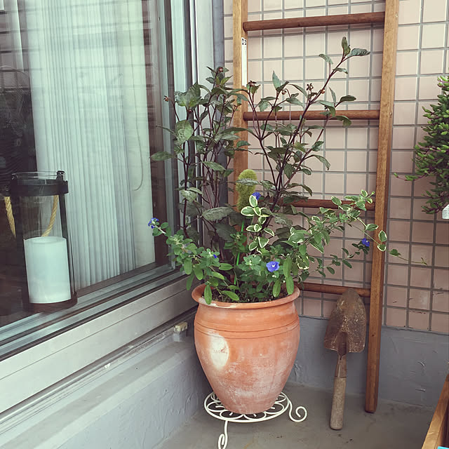 HKSさんの実例写真