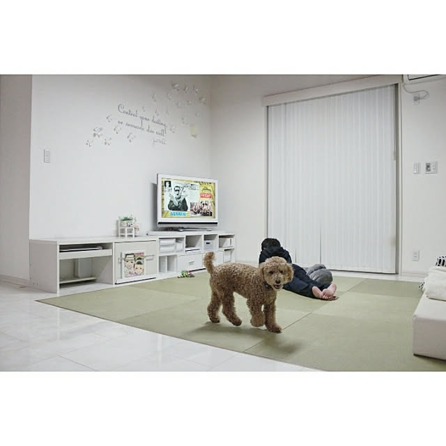 naoさんの実例写真