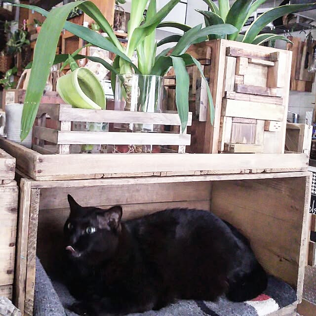 ugさんの実例写真