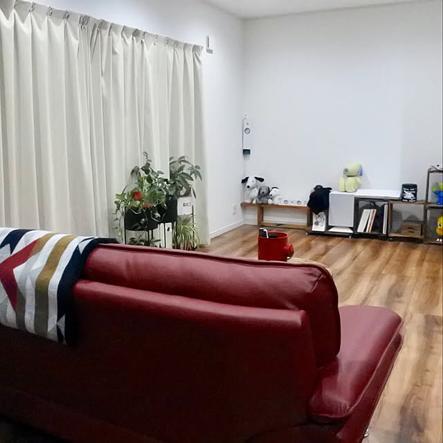 shiratamaさんの実例写真