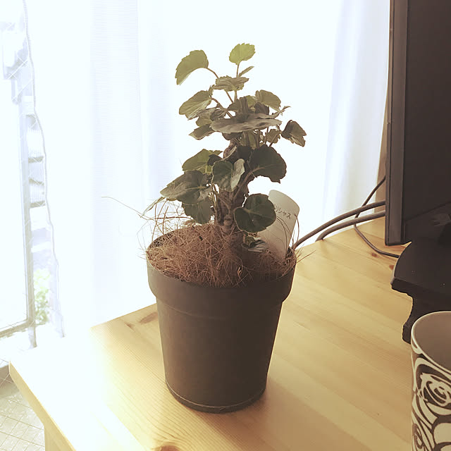 Hiroさんの実例写真