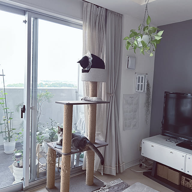 nekomiさんの部屋