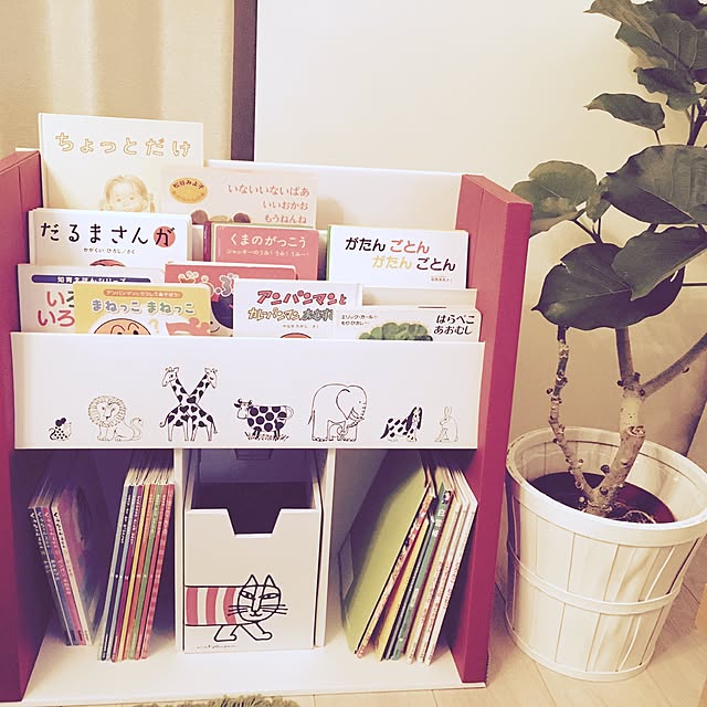 yaccoさんの実例写真