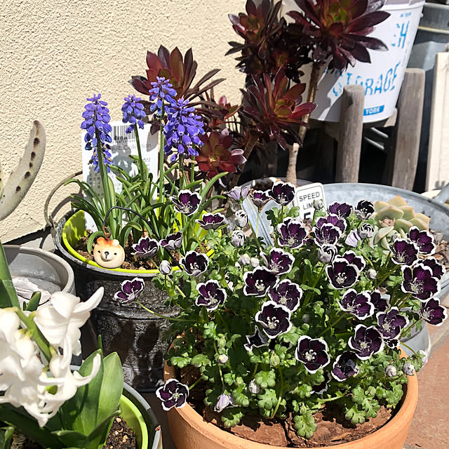 yukkoさんの部屋