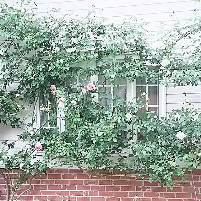 s.mamaさんの実例写真