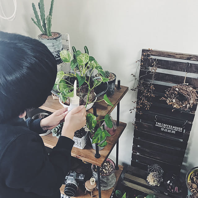 yuki.16.13さんの実例写真