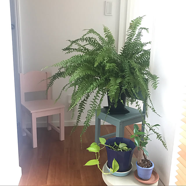 tweety_homedecorさんの実例写真