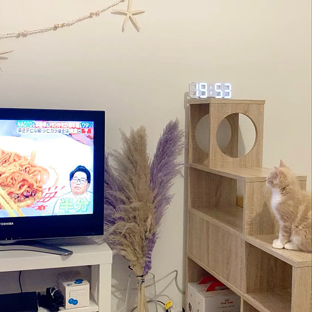 miki_alohaさんの実例写真