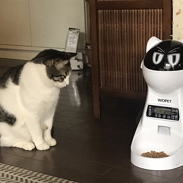okyosan101さんの実例写真