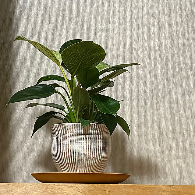 ayumiさんの部屋