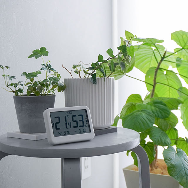 Saraさんの実例写真