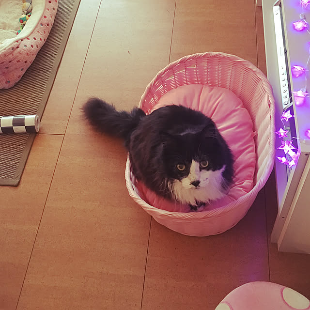 kanaさんの実例写真