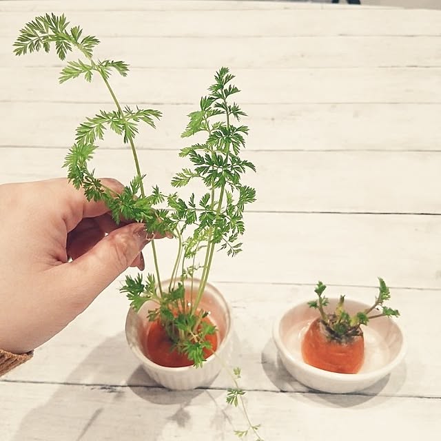 kaanaさんの実例写真