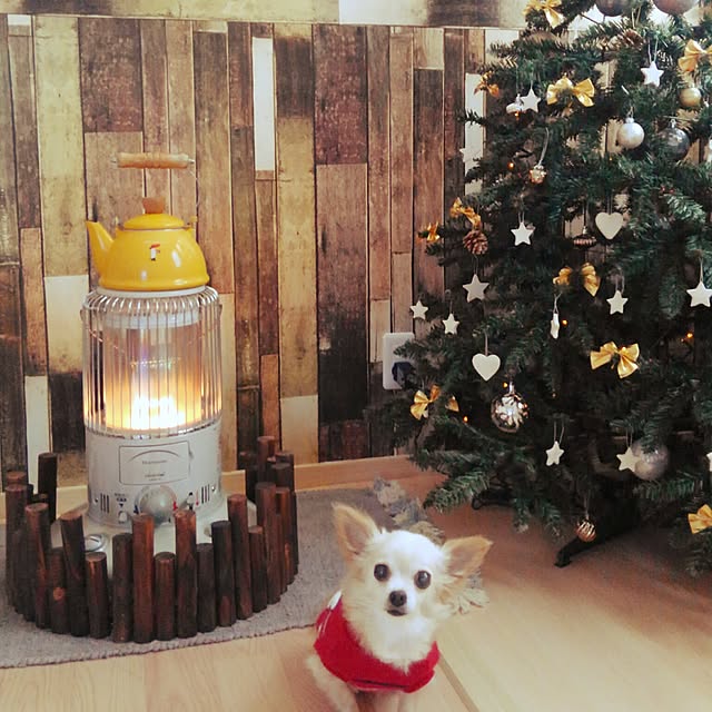 anny_minkさんの実例写真