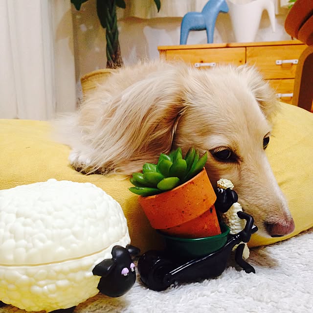 Erinさんの実例写真