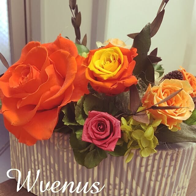 Wvenusさんの実例写真