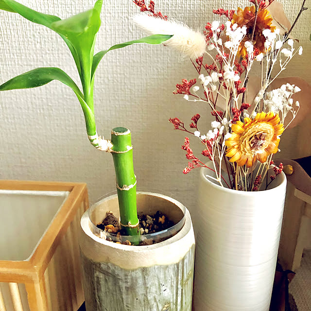 M_Mさんの部屋