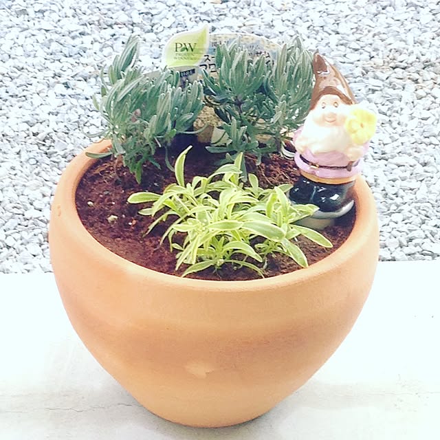 achuminさんの実例写真