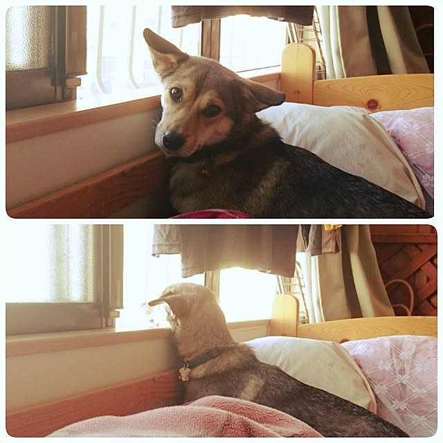 andさんの実例写真