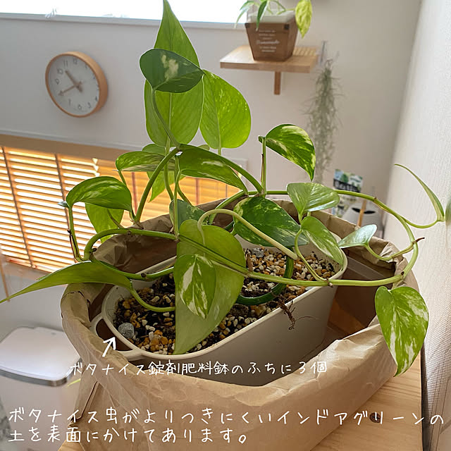 tanboさんの実例写真
