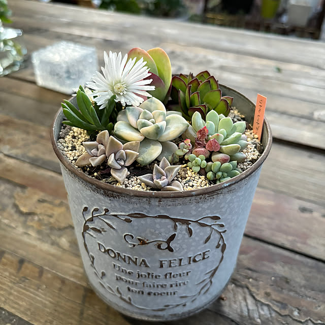 monasanさんの部屋