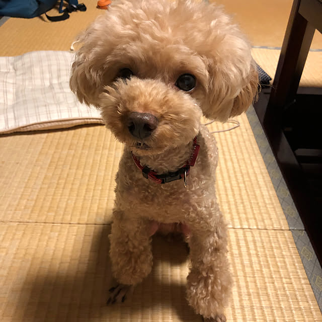 Mokaciさんの実例写真
