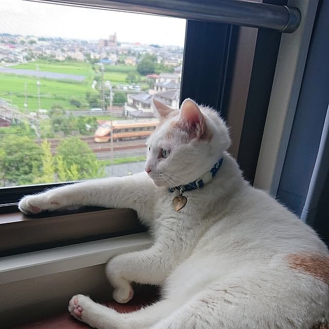 NOAHさんの部屋