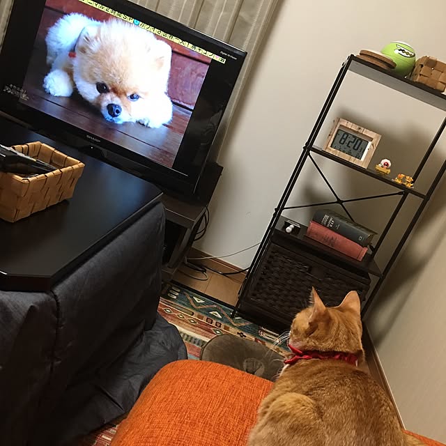 t.a.k.a.k.uuumさんの実例写真