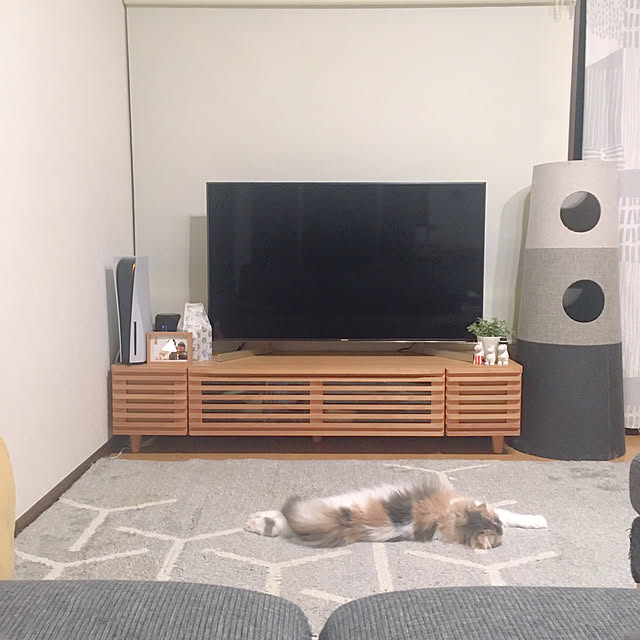 anさんの実例写真