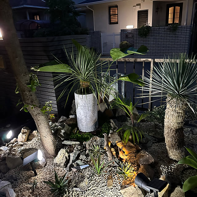 Aceさんの実例写真