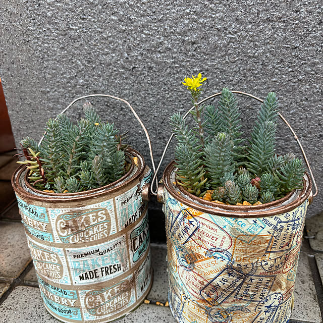 momocchiさんの部屋