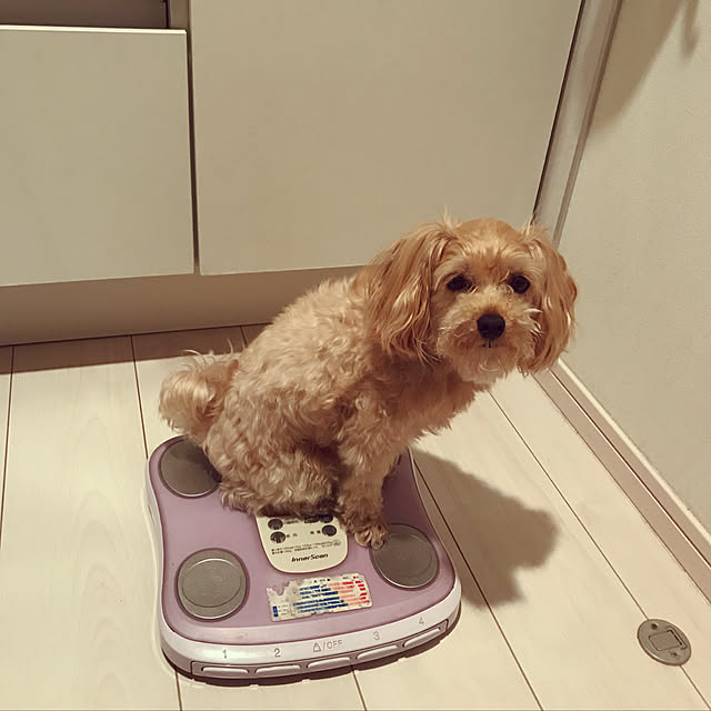 miyumiyuさんの実例写真