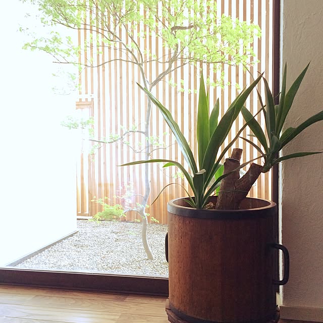 Ayumiさんの実例写真