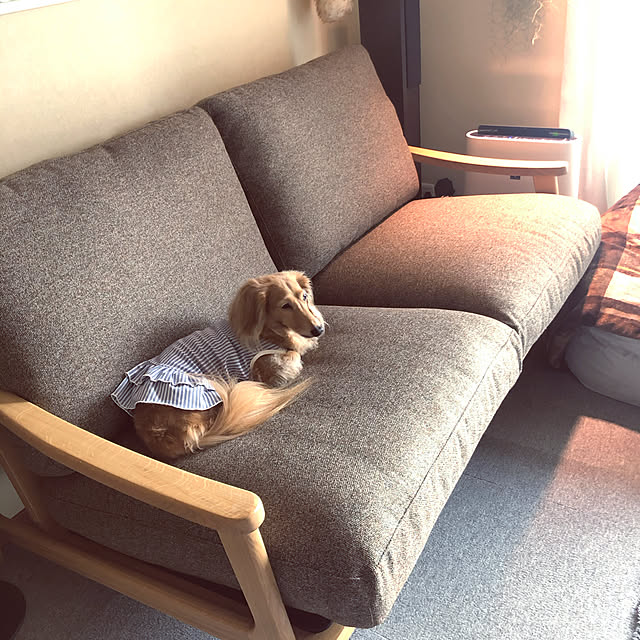 Harumiさんの実例写真