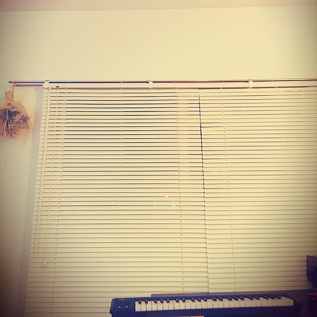 Bonさんの実例写真